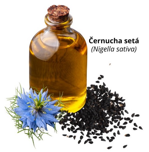 Černucha setá